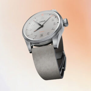 ProPilot Date - Imagen 1