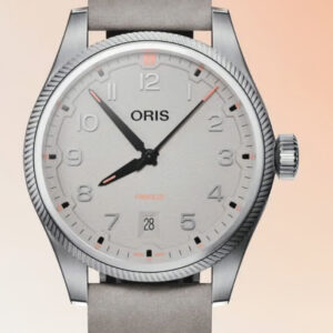 ProPilot Date - Imagen 3