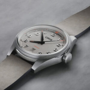 ProPilot Date - Imagen 2