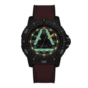 LUMINOX ICE-SAR Artic 1095 - Imagen 2